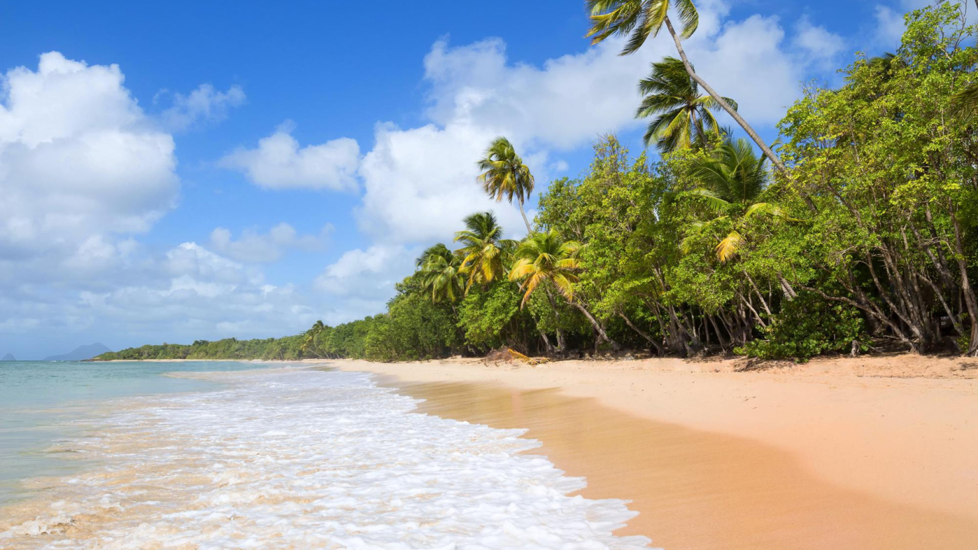 Préparer votre séjour : checklist pour des vacances réussies en Martinique